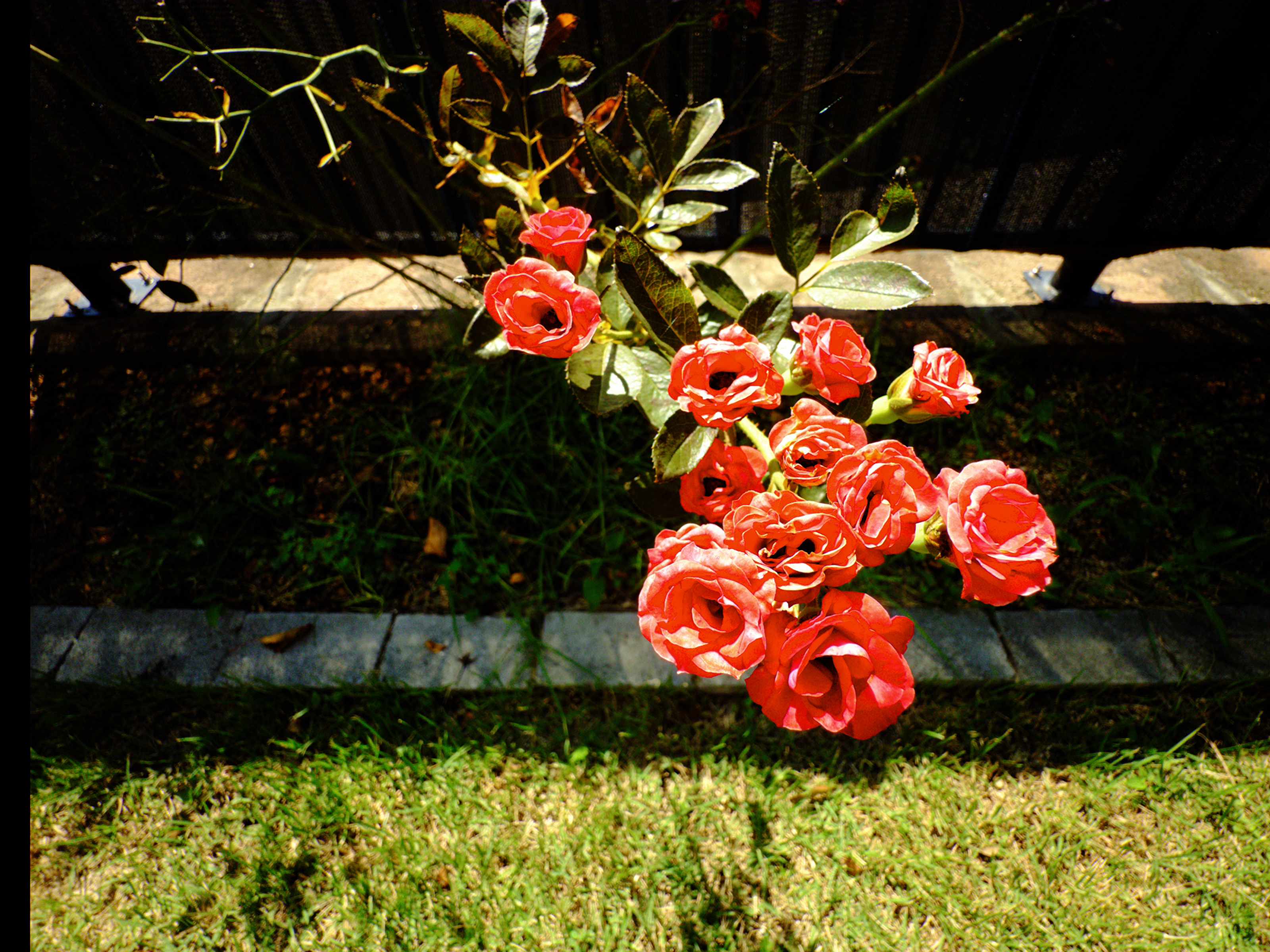 Photo captured with the Bleached film look