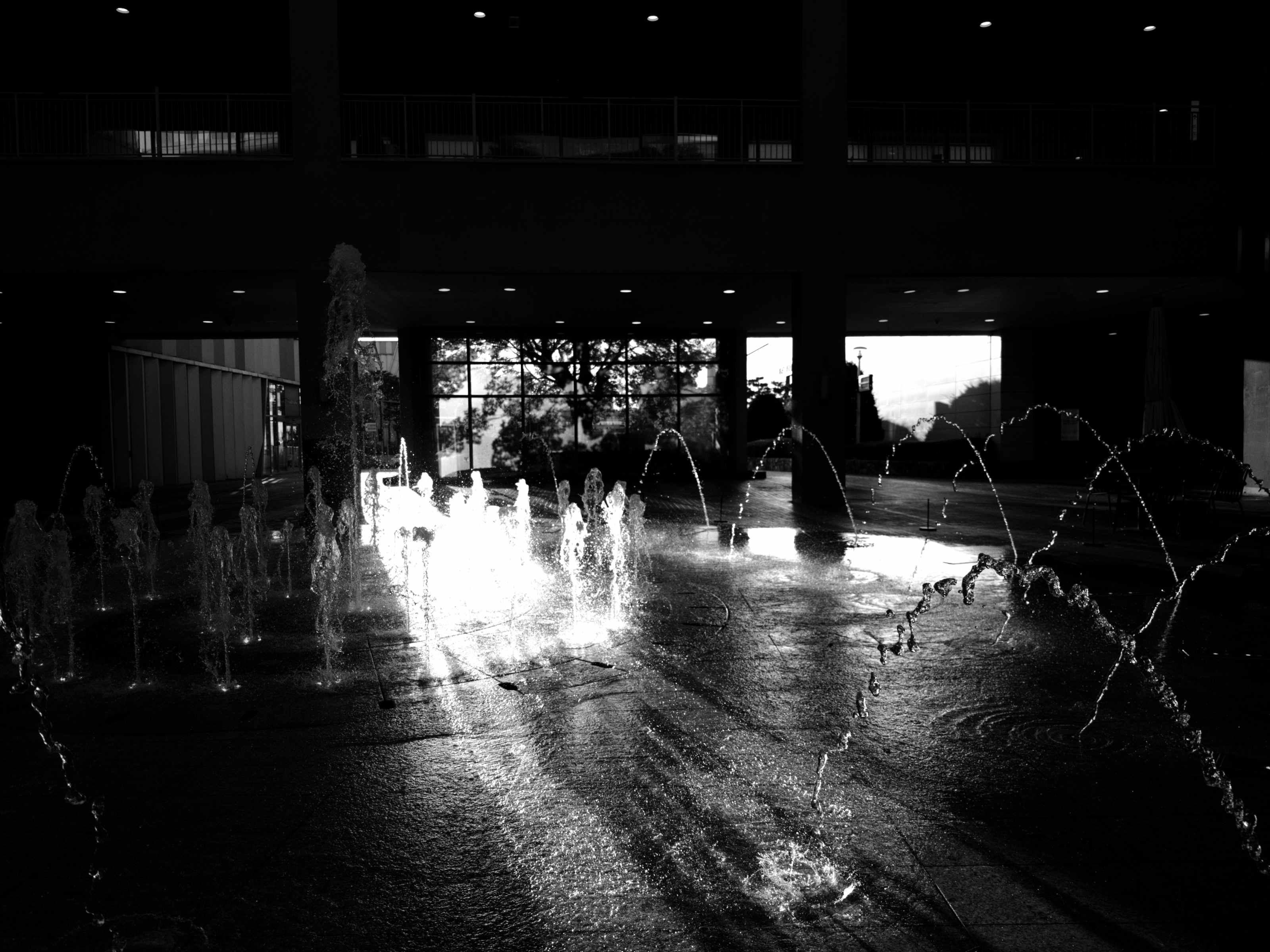 Photo captured with the Nostalgic film look